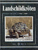 Landschildkrten