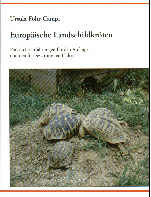 Europäische Landschildkröten