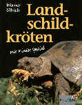 Landschildkröten