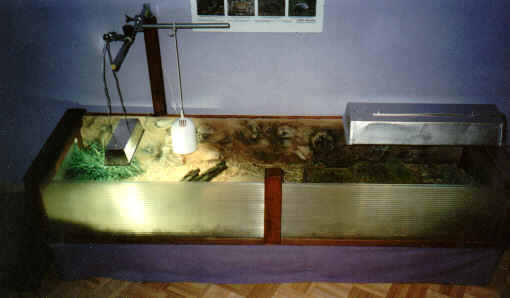 Holzterrarium (Eigenbau) Maße ca.210 mal 60 cm