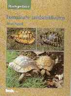 Europäische Landschildkröten