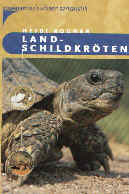 Landschildkrten