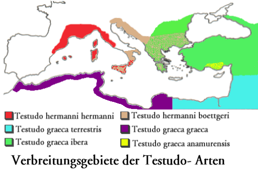 ungefähres Verbreitungsgebiet